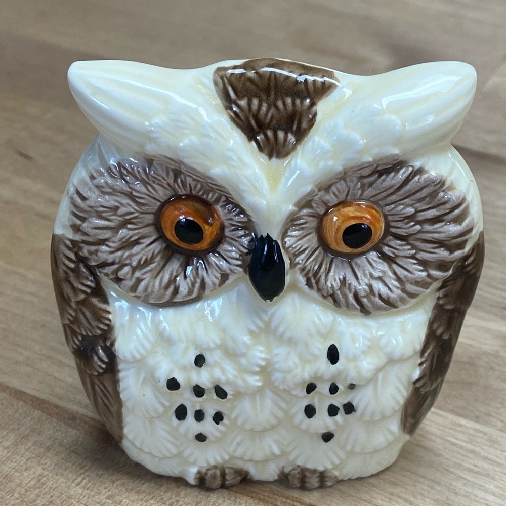 Vintage Owl Napkin Holder ceramic 1970’s Enesco Japan Kitch retro MCM antique
